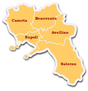 CLICCA SU UNA PROVINCIA PER SCARICARE L'ELENCO IN FORMATO PDF
